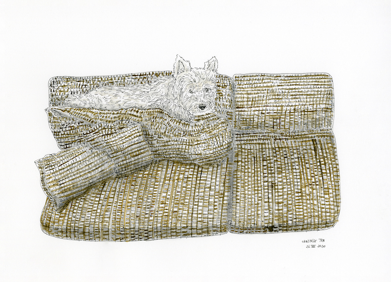 Dessin réhaussé à l'aquarelle d'un chien de race Westie, par Christelle Téa