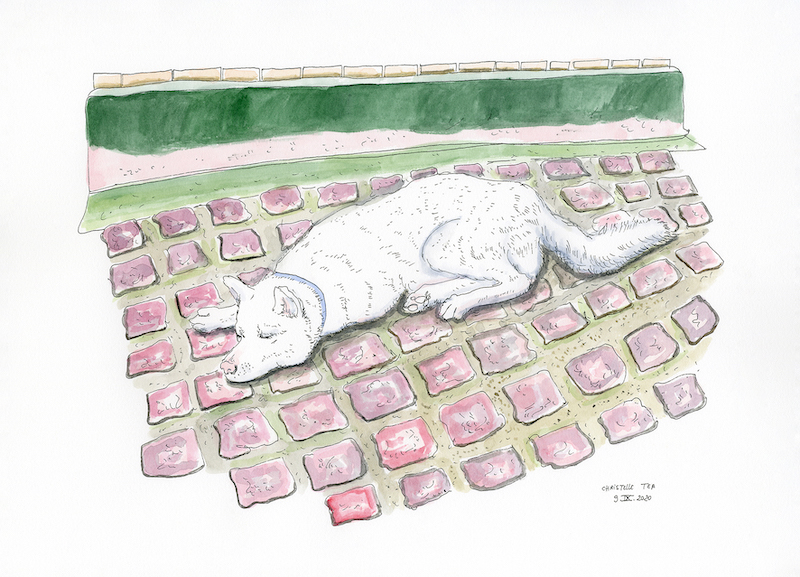 Dessin réhaussé à l'aquarelle représentant un chien couché de la race Akita, par Christelle Téa