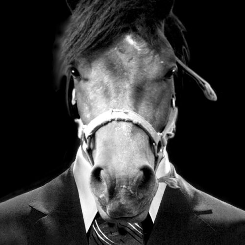 photo noir et blanc de maurice Renoma présentant un buste d'homme cravaté sur une tête de cheval