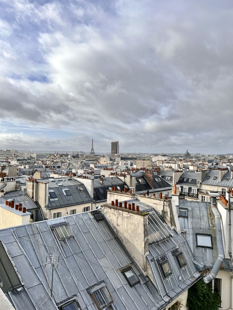 Vue des toits de Paris avec la Tour Eiffel au second plan
