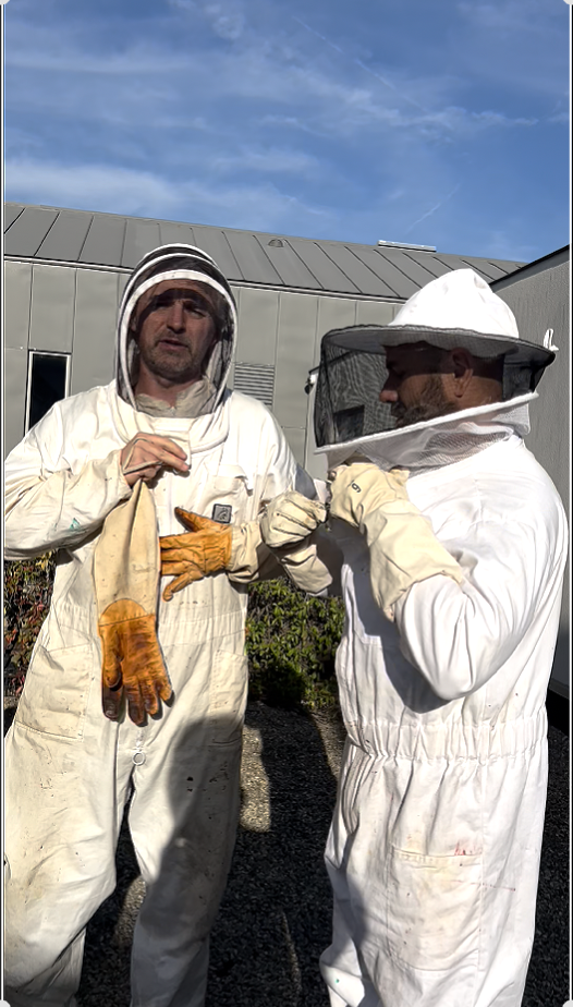 Deux apiculteurs en tenue