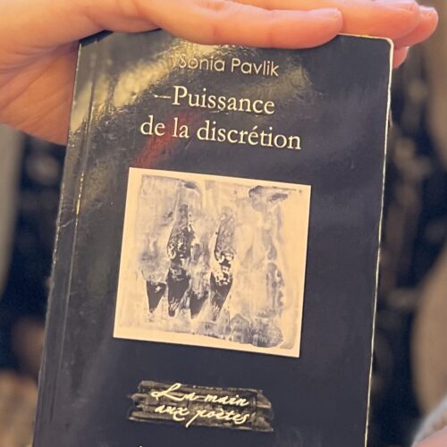 Couverture du recueil de poésie "Puissance de la discrétion" de Sonia Pavlik